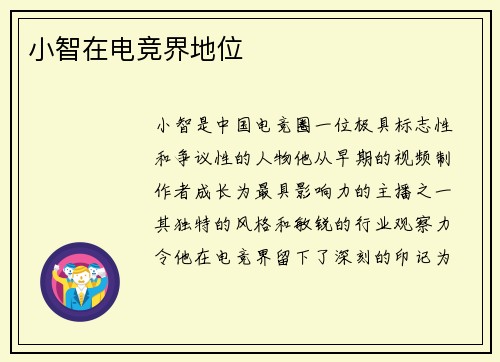 小智在电竞界地位
